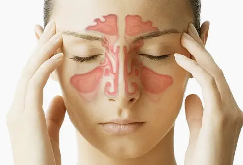 Congestion-nasale-Causes-symptômes-et-traitements Airvital.fr